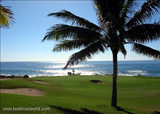 Cabo Real Golf
